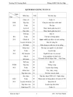 Giáo án 5 tuần 11(cktkn)