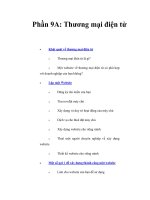 Phần 9A: Thương mại điện tử