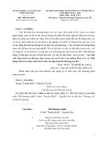 De thi HSG Van 11 (2010-2011)