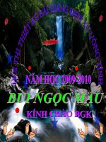 duung thang song song voi mp