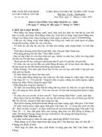 Báo cáo Công tác Đội tháng 11