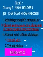 KHÁI QUÁT NHÓM HALOGEN (THI GV GIỎI VÒNG TỈNH)