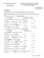 Đề Thi Tiếng Trung 901 Khối D 2008