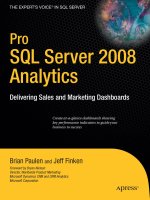 Apress - Pro SQL Server 2008 Analytics_ Delivering Sales and Marketing Dashboards (2009)01