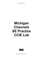 Michigan Channels SE Practice CCIE Lab