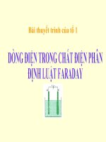 Dòng điện trong dung dịch điện phân