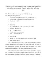 TỔNG QUAN VỀ CÔNG TY THƯƠNG MẠI VÀ DỊCH VỤ KỸ THUẬT VÀ NGÂN HÀNG NÔNG NGHIỆP VÀ PHÁT TRIỂN NÔNG THÔN BẮC NINH