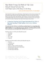 Bạo Hành Trong Gia Đình & việc làm các quyền hạn pháp lý