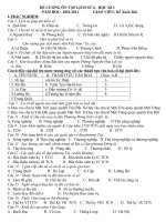 ĐỀ CƯƠNG ÔN TẬP SỬ 6-HK I-2010-2011