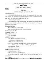 Giáo án 5 - Tuần 11