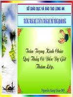 phân tích một số ra tsnt