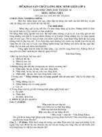 KHẢO SÁT CHẤT LƯỢNG HỌC SINH GIỎI LỚP 4