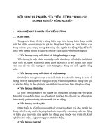 NỘI DUNG VÀ Ý NGHĨA CỦA TIỀN LƯƠNG TRONG CÁC DOANH NGHIỆP CÔNG NGHIỆP