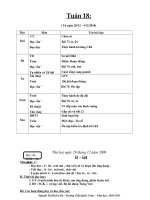 Giáo án tuần 18