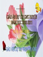 Giáo án dự thi GVG