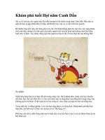 TUỔI HỢI NĂM CANH DẦN