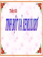 Tinh bot-xenlulozo