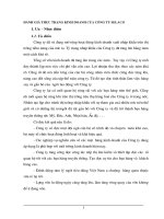 ĐÁNH GIÁ THỰC TRẠNG KINH DOANH CỦA CÔNG TY SELACO