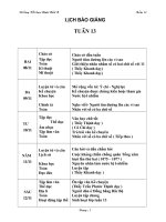 GIAO AN TUAN 13- LOP 4 CKTKN