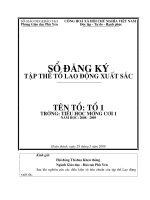 Thành tích tổ LĐXS