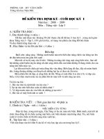 Đề Ktra HKỲ I Lớp 3