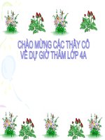 Luyện từ và câu tuần 11: Tính từ