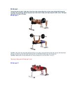 Bài tập cơ ngực