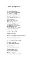 Ca dao tục ngữ khác