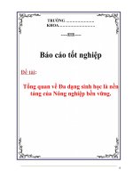 Báo cáo tốt nghiệp: Tổng quan về đa dạng sinh học là nền tảng của nông nghiệp bền vững