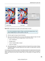 Foundation Flash CS5 For Designers- P4