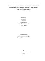 Ảnh hưởng của quản lý tài chính và một số khía cạnh tài chính đến lợi nhuận của doanh nghiệp vừa và nhỏ thương mại và dịch vụ trong tỉnh thái nguyên 