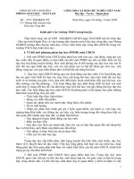 Hướng dẫn CM và mẫu giáo án Ninh Hòa