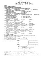 DethiHKII-Dia 6 (09-10)