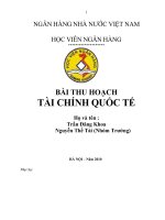 Chính sách tỉ giá hối đoái của Việt Nam