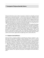 INORGANIC POLYSACCHARIDE ESTERS