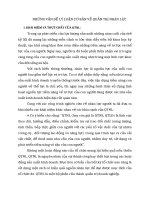 NHỮNG VẤN ĐỀ LÝ LUẬN CƠ BẢN VỀ QUẢN TRỊ NHÂN LỰC