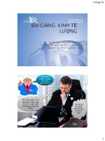 Bài giảng Kinh tế lượng - Trình bày: Nguyễn Duy Tâm