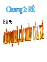 bai 9 CAC LOAI RE 