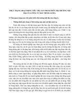 THỰC TRẠNG HOẠT ĐỘNG TIÊU THỤ SẢN PHẨM TRÊN THỊ TRƯỜNG NỘI ĐỊA CỦA CÔNG TY MAY THĂNG LONG