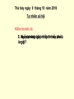 Hoạt động bài tiết nước tiểu