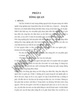 Nha may san xuat giay in bao 