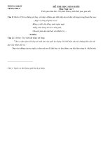 THI HỌC SINH GỎI VĂN 7