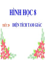 Tiết 29 DIEN TICH TAM GIAC