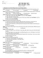 ĐỀ THI VÀ ĐÁP ÁN BÀI THI HK I-TIN6