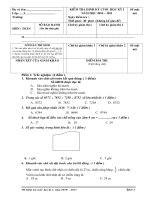 BAI THI CUỐI HỌC KÌ 1 - LỚP 3, NĂM HỌC 2010 - 2011
