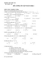 De cuong on thi hk I toan 8