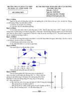 Đề thi HSG lí 9 - Năm 2010