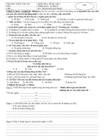 tiet 46 kiem tra tieng viet