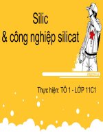 Silic và Công nghệ Silicat