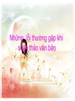 Lỗi thường gặp trong soạn thảo